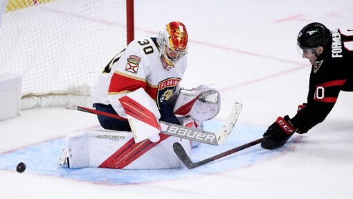 Нэшвилл — Флорида. Прогноз и ставка на матч Прогноз на матч Нэшвилл — Флорида