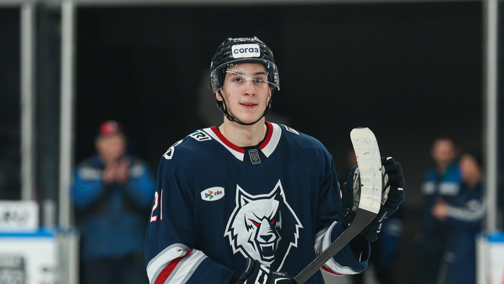 «Нефтехимик» дома обыграл «Динамо» — 4:3