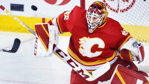 Анахайм — Калгари. Прогноз и ставка на матч Прогноз на матч Анахайм — Калгари