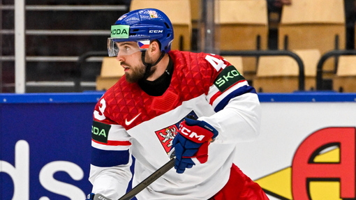 Чехия — Дания. Прогноз и ставка на матч Прогноз на матч Чехия — Дания