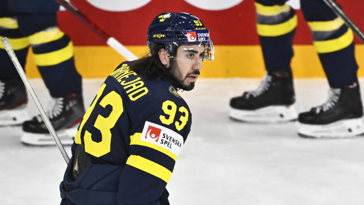 Мика Зибанежад