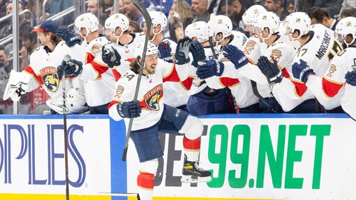 Эдмонтон — Флорида. Прогноз и ставка на матч Прогноз на матч Эдмонтон — Флорида