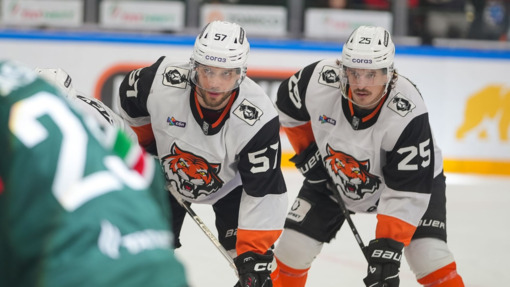 Прогноз на матч Нефтехимик — Амур