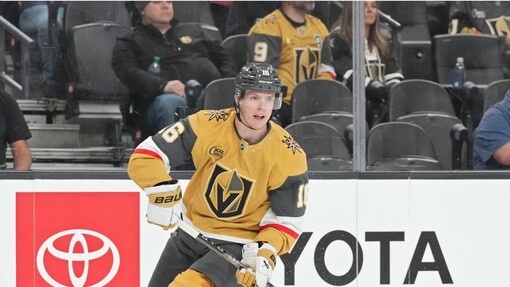 Калгари — Вегас. Прогноз и ставка на матч Прогноз на матч Калгари — Вегас