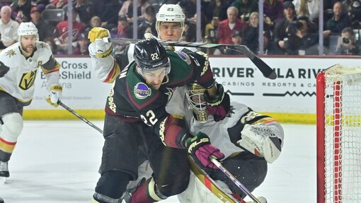 Флорида — Вегас. Прогноз и ставка на матч Прогноз на матч Флорида — Вегас