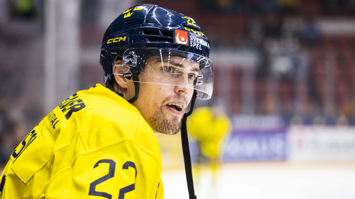 Прогноз на матч Швеция — Чехия