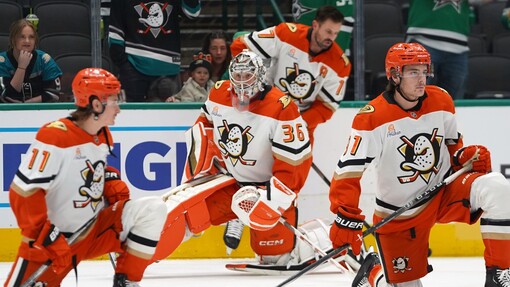 Прогноз на матч Анахайм — Виннипег