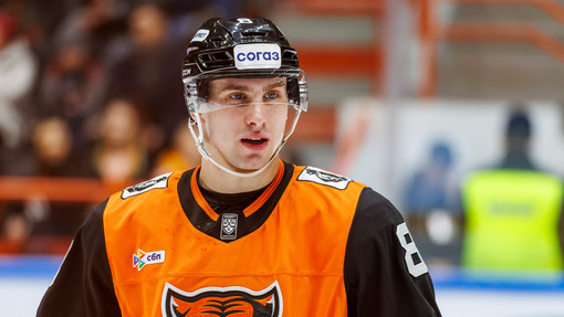 Прогноз на матч Амур — Трактор