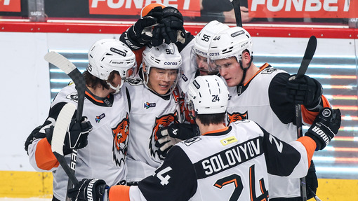 Динамо — Амур. Прогноз и ставка на матч Прогноз на матч Динамо — Амур