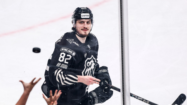 Андрей Прибыльский