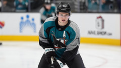 Маклин Селебрини