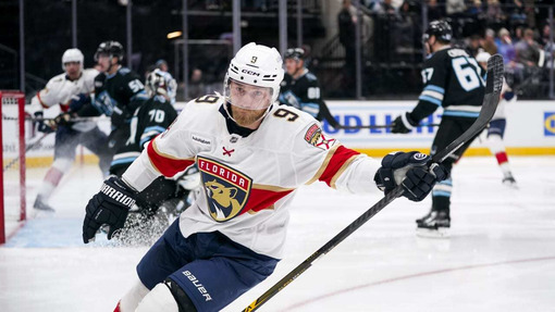 Прогноз на матч Флорида — Каролина