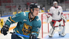 «Сочи» дома обыграл «Нефтехимик»