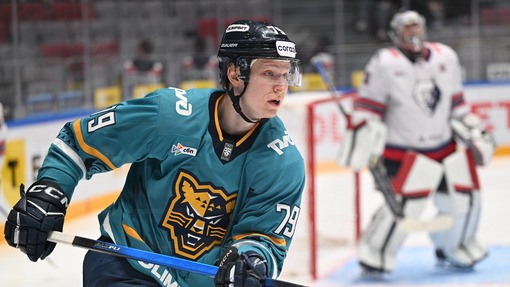 Сочи — Динамо. Прогноз и ставка на матч Прогноз на матч Сочи — Динамо