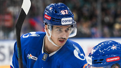 Николай Голдобин