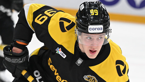 Северсталь — Динамо Минск. Прогноз и ставка на матч Прогноз на матч Северсталь — Динамо Минск