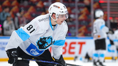 Виталий Пинчук