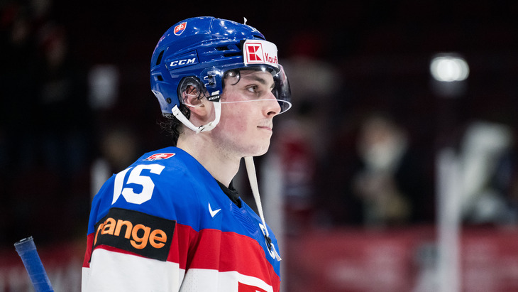 Далибор Дворский