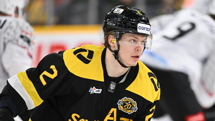 Владимир Грудинин