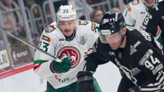 Дмитрий Яшкин