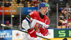 Роман Червенка