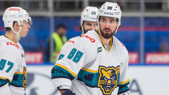 Илья Николаев