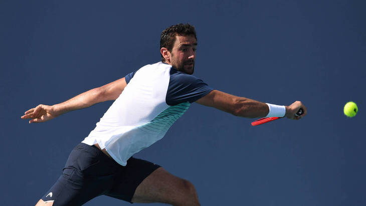 Марин Чилич