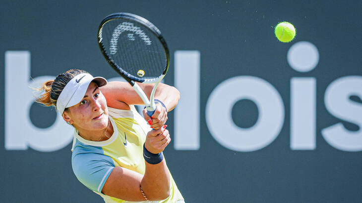 Бьянка Андрееску