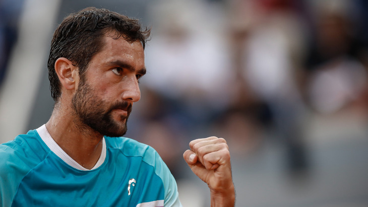 Марин Чилич