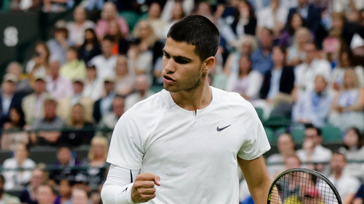 Прогноз на матч Таллон Грикспор  — Карлос Алькарас 