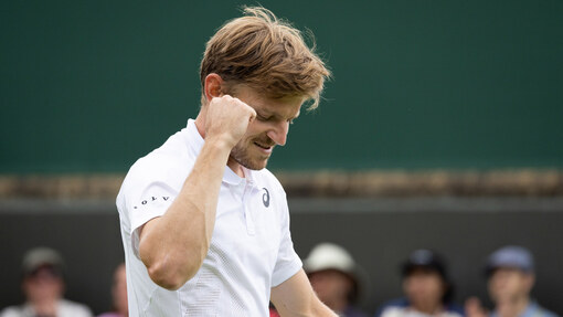 Прогноз на матч Давид Гоффен  — Фрэнсис Тиафо 