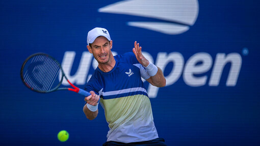 Прогноз на матч Алехандро Давидович-Фокина  — Энди Мюррей 