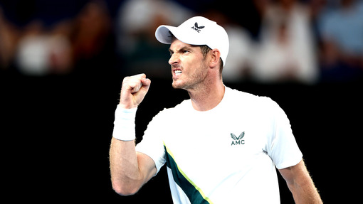 Прогноз на матч * Энди Мюррей — Танаси Коккинакис