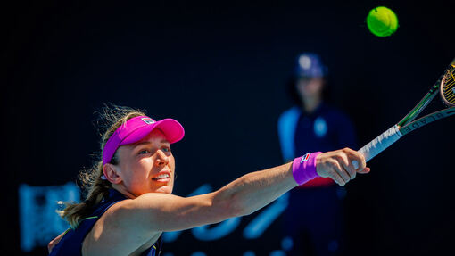 Прогноз на матч * Магда Линетт — Екатерина Александрова