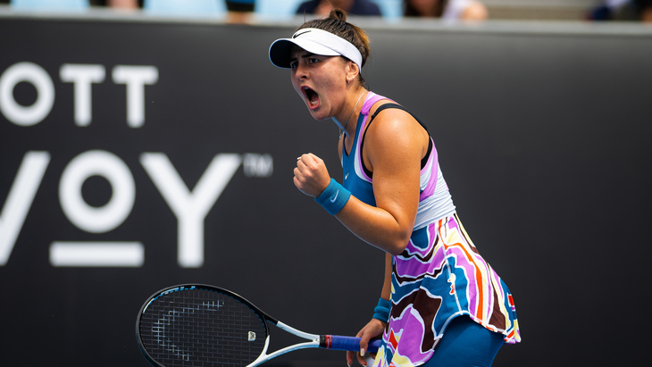 Бьянка Андрееску