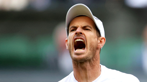 Лоренцо Сонего — Энди Мюррей *. Прогноз и ставка на матч Прогноз на матч Лоренцо Сонего — Энди Мюррей *