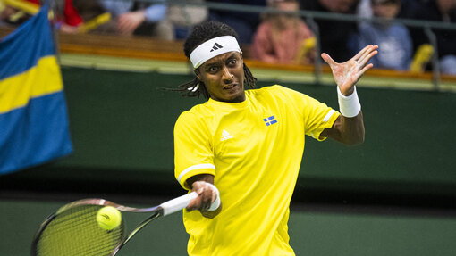 Прогноз на матч * Лоренцо Музетти — Микаэль Имер