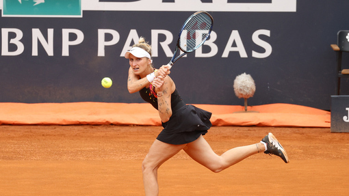 Прогноз на матч * Маркета Вондроушова — Алисия Паркс 