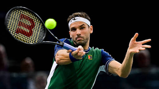 Прогноз на матч Тимофей Скатов  — Григор Димитров *