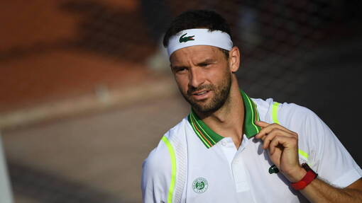 Даниэль Альтмайер — Григор Димитров *. Прогноз и ставка на матч Прогноз на матч Даниэль Альтмайер — Григор Димитров *