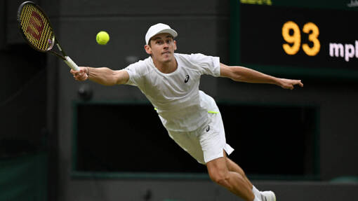 Прогноз на матч Ласло Джере — Алекс де Минаур *