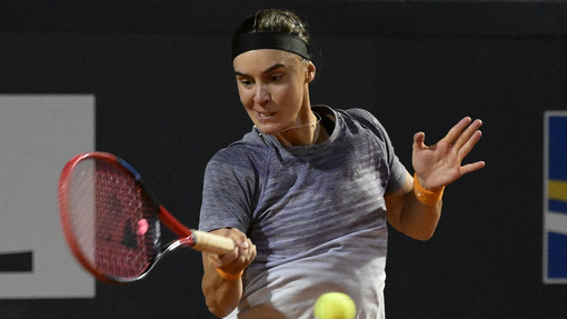 Прогноз на матч * Ангелина Калинина — Алисия Паркс 