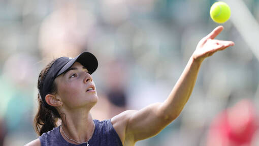 Прогноз на матч * Элина Аванесян  — Анна Блинкова