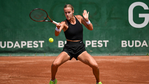 Анна Шмидлова — Клер Лю *. Прогноз и ставка на матч Прогноз на матч Анна Шмидлова — Клер Лю *