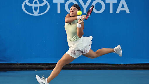 Прогноз на матч * Диана Шнайдер  — Венус Уильямс