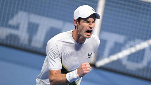 Прогноз на матч * Энди Мюррей — Маттео Берреттини