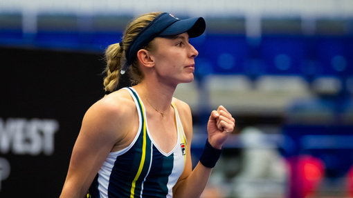 Прогноз на матч Ига Свёнтек — Екатерина Александрова *