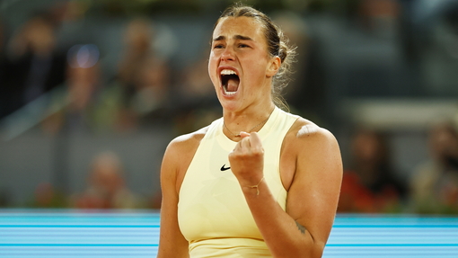 Прогноз на матч * Ига Свёнтек — Арина Соболенко