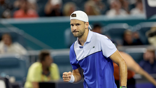 Прогноз на матч Александр Ковачевич  — Григор Димитров *