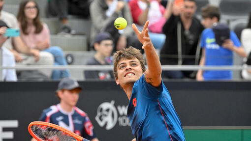 Прогноз на матч * Флавио Коболли  — Хамад Медьедович 